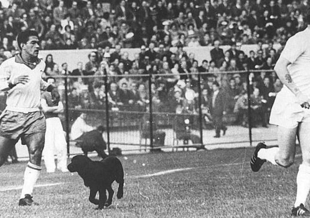 Fatos curiosos que aconteceram ao longo da história das Copas – 2/2