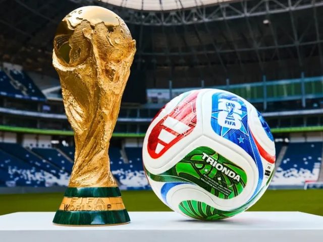 Por que a Copa do Mundo é disputada a cada quatro anos?